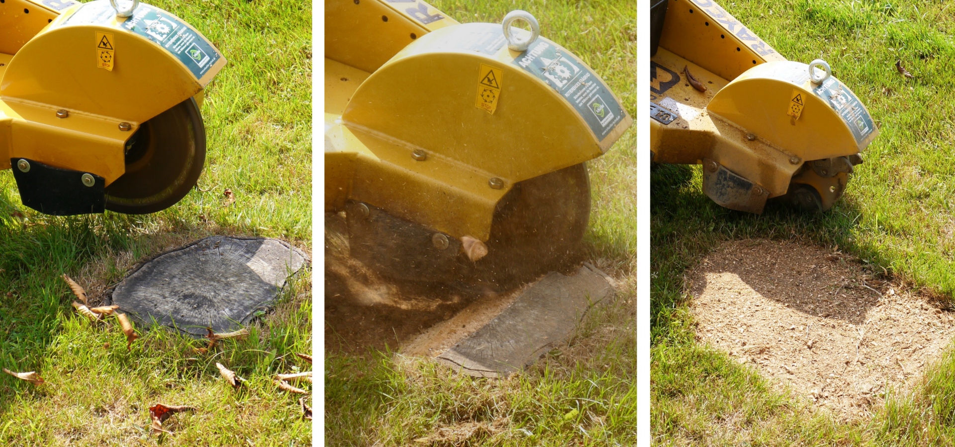 1 BUND WURZELWERK WAS IST DAS visual data 2